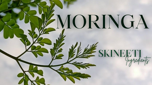 Moringa Powder: The Superfood Your Skin Has Been Waiting For