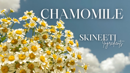 Chamomile: The Glow-Giving Elixir for Your Skin