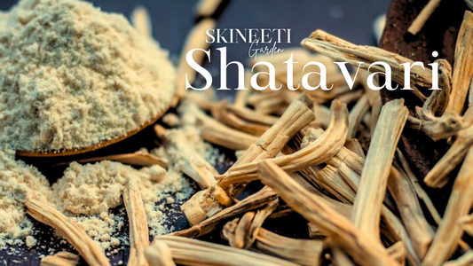 SKINEETI Garden Shatavari Powder: Nourish Your Skin, Balance Your Beauty
