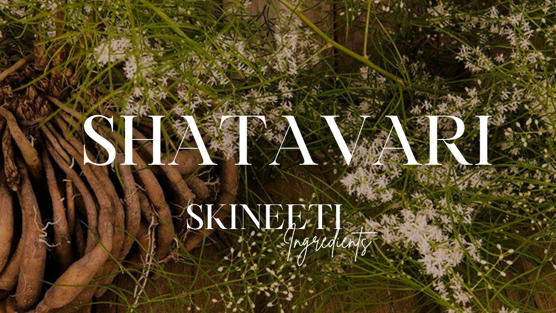Shatavari for Skin: The Ayurvedic Secret to Glowing Skin