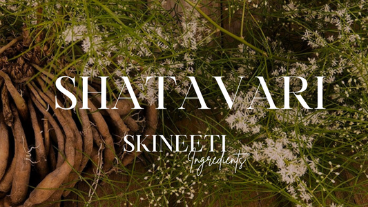 Shatavari for Skin: The Ayurvedic Secret to Glowing Skin